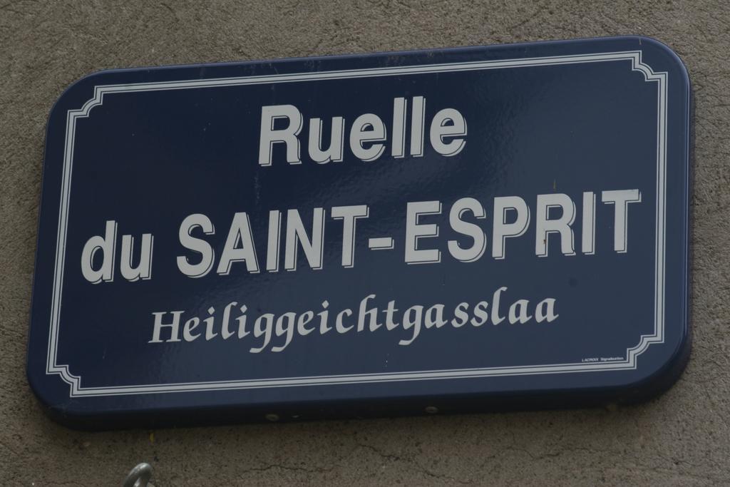 רופאק Gite Duplex Du Vignoble Alsace מראה חיצוני תמונה