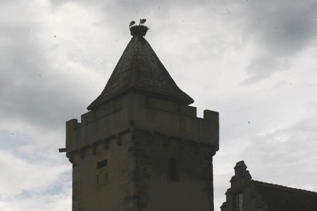 רופאק Gite Duplex Du Vignoble Alsace מראה חיצוני תמונה