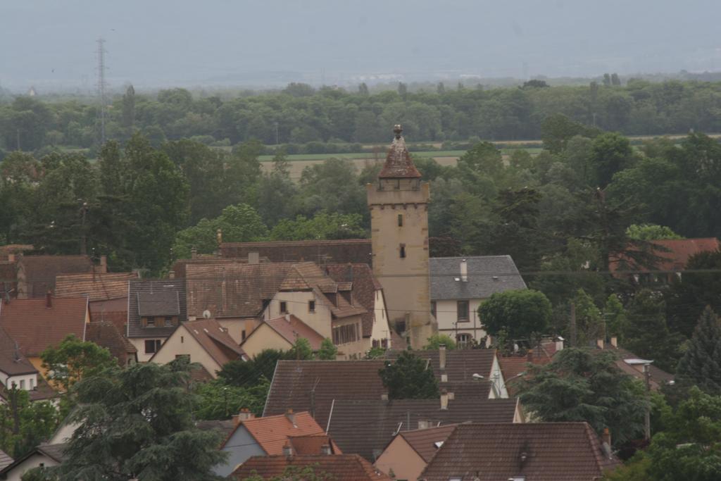 רופאק Gite Duplex Du Vignoble Alsace מראה חיצוני תמונה