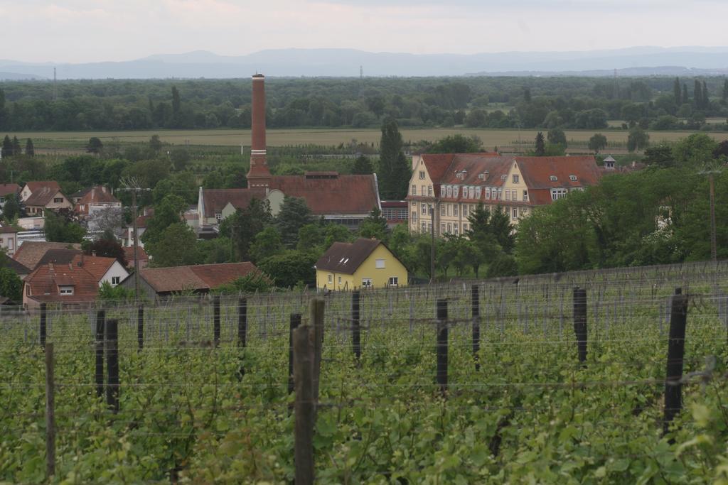 רופאק Gite Duplex Du Vignoble Alsace מראה חיצוני תמונה